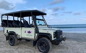 Wild Lotus Yala